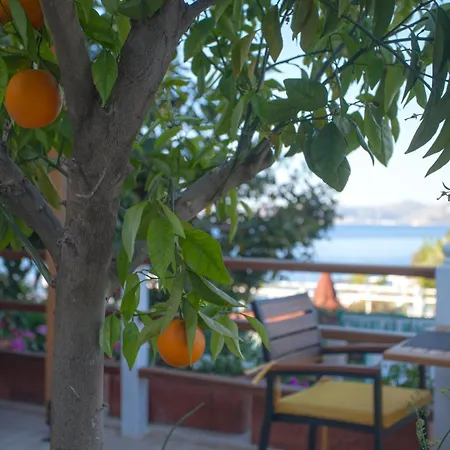Ferah Hotel 3*